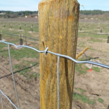 CLOTURE MAILLE PROGRESSIVE ANTI SANGLIERS SUR POTEAUX BOIS 10