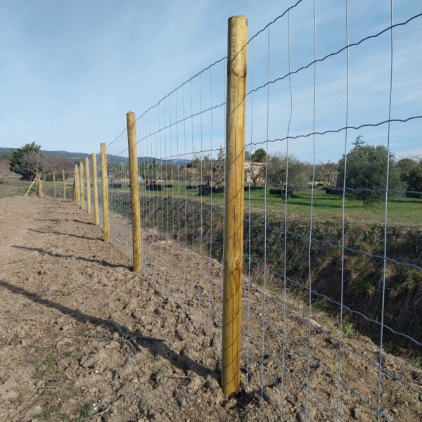 CLOTURE MAILLE PROGRESSIVE ANTI SANGLIERS SUR POTEAUX BOIS 5