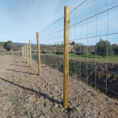 CLOTURE MAILLE PROGRESSIVE ANTI SANGLIERS SUR POTEAUX BOIS 6