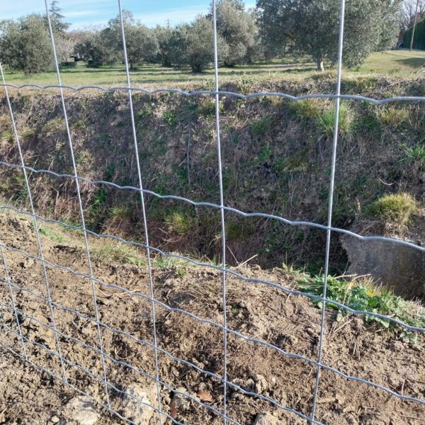 CLOTURE MAILLE PROGRESSIVE ANTI SANGLIERS SUR POTEAUX BOIS 7