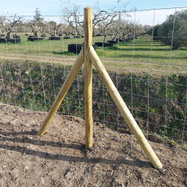 CLOTURE MAILLE PROGRESSIVE ANTI SANGLIERS SUR POTEAUX BOIS 8