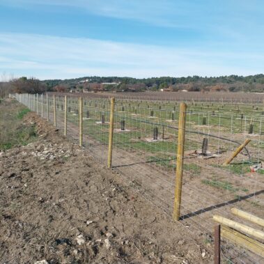 CLOTURE MAILLE PROGRESSIVE ANTI SANGLIERS SUR POTEAUX BOIS 9