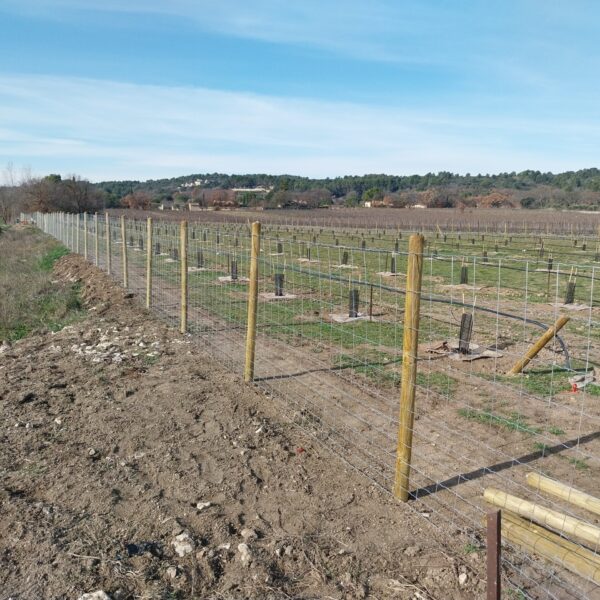 CLOTURE MAILLE PROGRESSIVE ANTI SANGLIERS SUR POTEAUX BOIS 9