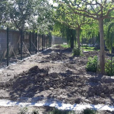 Clôture 2 - Elevage Canin - Hestia - Avignon