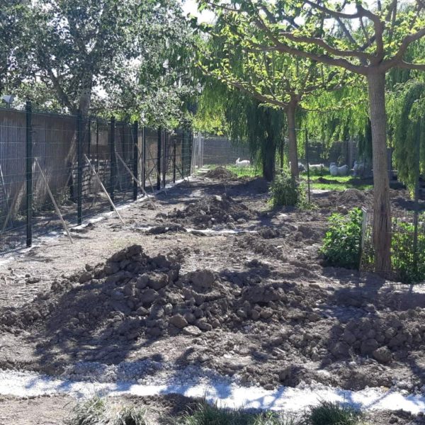 Clôture 2 - Elevage Canin - Hestia - Avignon