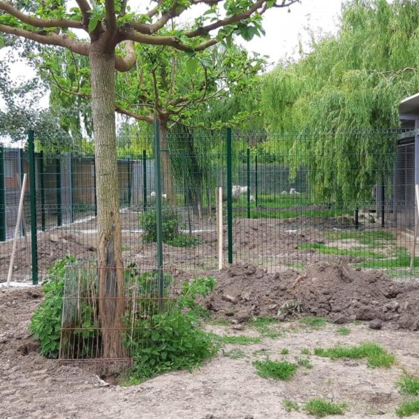 Clôture 3 - Elevage Canin - Hestia - Avignon