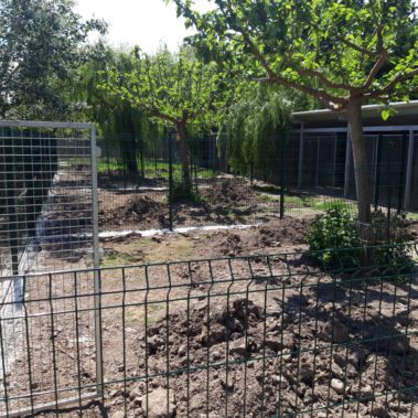 Clôture 4 - Elevage Canin - Hestia - Avignon