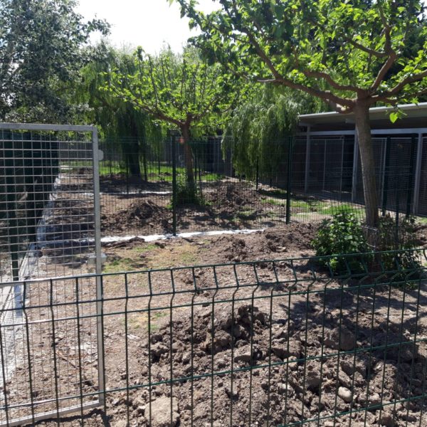 Clôture 4 - Elevage Canin - Hestia - Avignon