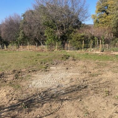 Cloture Maille progressive anti sangliers sur poteau bois 2 - Hestia - Avignon