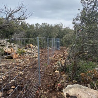 Clôture Maille progressive sur îquet Té Galva 2