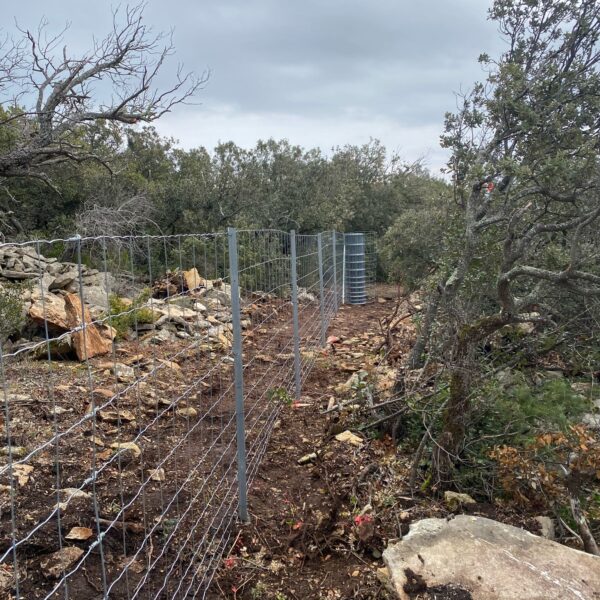 Clôture Maille progressive sur îquet Té Galva 2