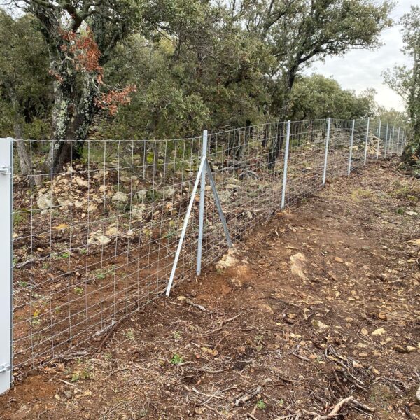 Clôture Maille progressive sur îquet Té Galva