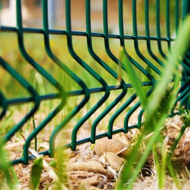 Clôture Verte 2 - Hestia - Avignon