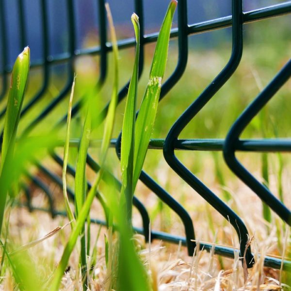 Clôture Verte 3 - Hestia - Avignon