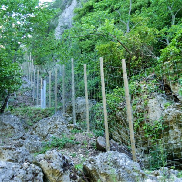 Cloture galva sur poteau bois en milieu difficile 1 - Hestia - Avignon
