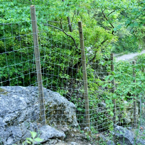 Cloture galva sur poteau bois en milieu difficile 3 - Hestia - Avignon