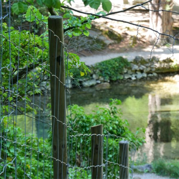 Cloture galva sur poteau bois en milieu difficile 4 - Hestia - Avignon