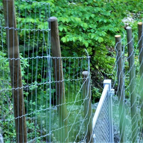 Cloture galva sur poteau bois en milieu difficile 5 - Hestia - Avignon