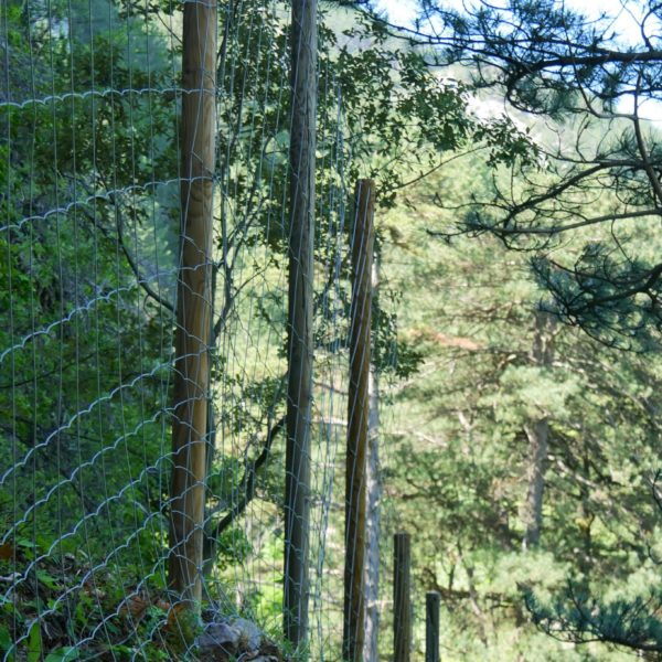 Cloture galva sur poteau bois en milieu difficile 6 - Hestia - Avignon