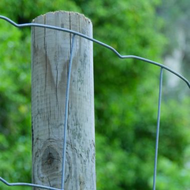 Cloture galva sur poteau bois - Hestia - Avignon