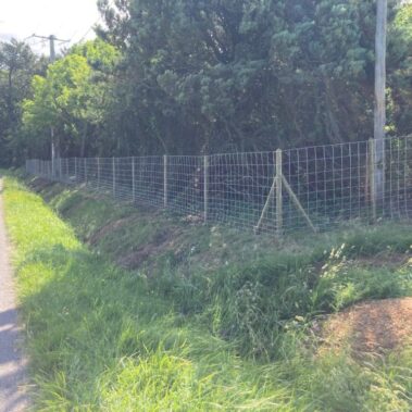 Clôture maille progressive sur poteaux bois - Hestia - Avignon