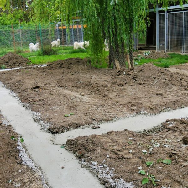 Terrassement 2 - Elevage Canin - Hestia - Avignon