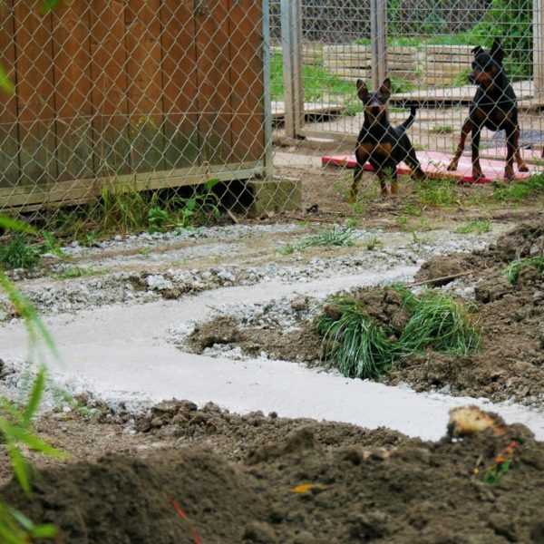 Terrassement 3 - Elevage Canin - Hestia - Avignon