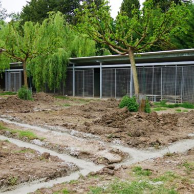 Terrassement 4 - Elevage Canin - Hestia - Avignon