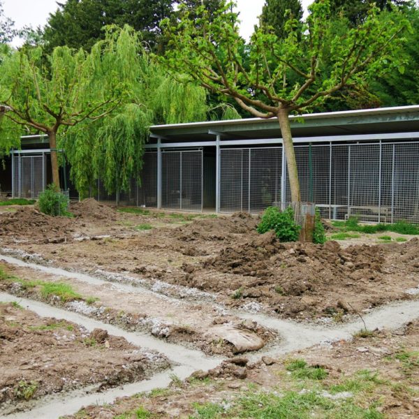 Terrassement 4 - Elevage Canin - Hestia - Avignon