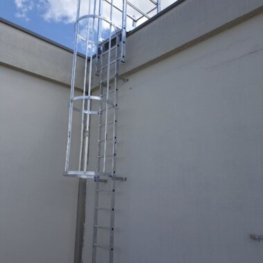 Echelle Crinoline (5) - Hestia - Avignon