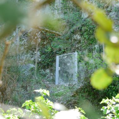 PORTILLON MAILLE 50X50 2 - Hestia - Avignon